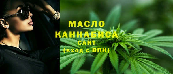 дмт Каменногорск