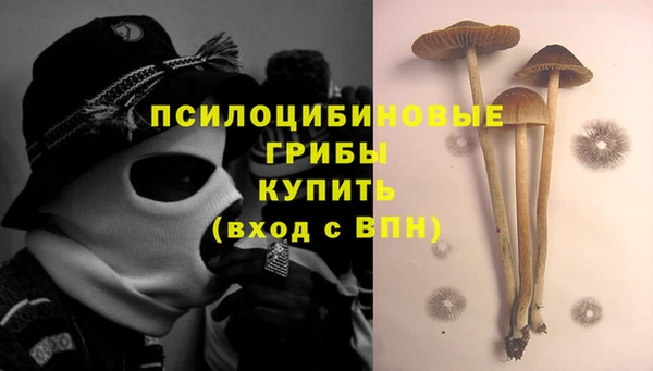 дмт Каменногорск