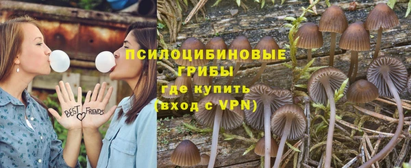 дмт Каменногорск