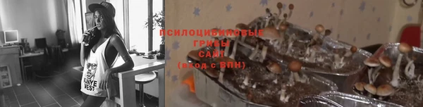 СК Каменка