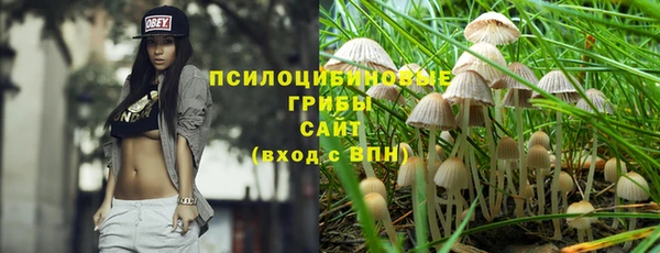 дмт Каменногорск