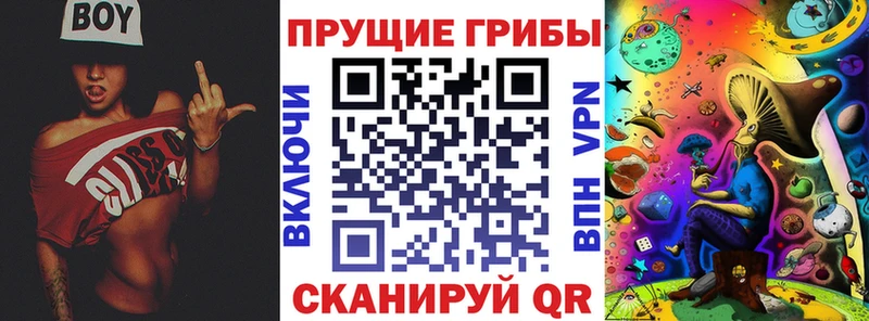 Псилоцибиновые грибы GOLDEN TEACHER  Медвежьегорск 